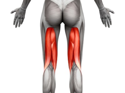 Hamstring Injury Assessment and Treatment