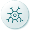 Nerve system icon