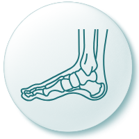 icon of a foot showing bones
